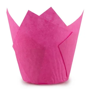 8e29755acd399dfd20d5bfbec4cd172f